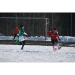 780x52012.ST BSG-Hartmannsdorf 27.2 (15).JPG